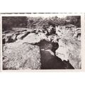 Gorges du Fier Mer Rochers France Picture card ...
