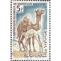 MAURITANIA, MAMMAL, Dromedary, Camelus dromedarius, brown & blue 1963, 5F