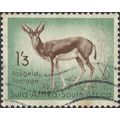 SOUTH AFRICA, MAMMAL, Springbok, Antidorcas mar...