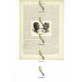 Bambara Women's Coiffures, Mali, Book Illustrat...