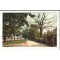 LONDON Dulwich Village High Street Postcard (6142)