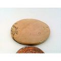 Picture Jasper Freeform Gemstone Cabochon 219