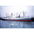 SL0686a - Ellerman Cargo Ship - Arcadian - phot...