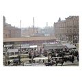 ptc4667 - Yorks. - Early Livestock Market, Clec...