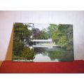 LUSS WATER, LOCH LOMOND unused antique postcard...