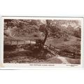 High Whittaker Clough Padiham Postcard RP Lanca...