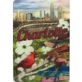 Charlotte North Carolina 3D Fridge Magnet