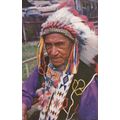Red Indian Chief Na-Ga-Gesig at Fort Mille Lacs...