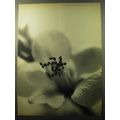 1960 Henri Bendel Fashion Ad - Fashion is flowering