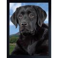 Black Labrador 3D fridge magnet Great Christmas...