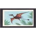Brook Bond Prehistoric Animals Rhamphorhynchus ...