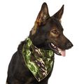 Aria Camo Bandanas Pink