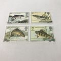 1982 .. British river fish