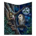 'Fairy Tales' By Lisa Parker - Fairies Owl Magi...
