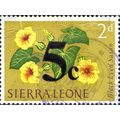 SIERRA LEONE, FLOWER, Black-eyed Susan, o/p on ...