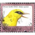 SIERRA LEONE, BIRD, African Golden Oriole, pink...