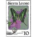 SIERRA LEONE, BUTTERFLY, Small Striped Swordtai...
