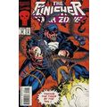 Punisher War Zone (Vol 1) # 022 NM MODERN AGE C...