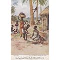 Life In Africa An African Village Palm Nut Nuts...