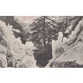 Gigantic Icicles In Simla Disaster Weather Anti...