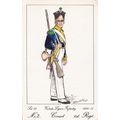 Vistula Legion Infantry Polish Cornet 1st Regim...
