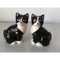 SALT & PEPPER SHAKERS - BLACK AND WHITE CATS