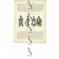 Bavarians & Bavarian Costumes, Germany, Book Il...