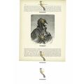 Gipsy Woman, North Ossetia, Russia, Book Illust...