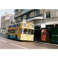 Colour Photograph of Yellow Buses Ltd. - NFX 13...