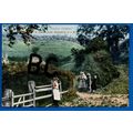 Postcard Country Children A Scene Nr Shanklin I...