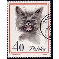 Poland 1964 Cats 40gr Used Stamp
