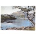 LOCH SUNART, Argyll unused postcard J.Arthur Di...