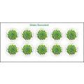 2017 Global Green Succulent International - Sta...