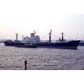 SQ0049 - Elder Dempster Cargo Ship - Falaba - p...
