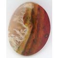 Petrified Wood Freeform Gemstone Cabochon 40