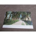Early F.G.O Stuart Postcard - Tennyson's Walk, ...