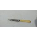 cutlery knife the daintee stainless kid butter ...