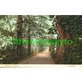 Addison Walk, Oxford, Oxon, Early Postcard
