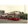 Colour Photograph of Warrington Borough Transpo...
