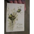 1923 Birthday Greeting Postcard - Blue Tits - B...