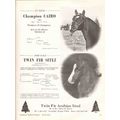 twin fir arabian stud 1972 champion cairo sitez...