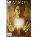 Angel: After the Fall # 039 NM MODERN AGE COMICS