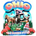 Ohio the Buckeye State Artwood Montage Fridge M...