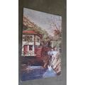 1904 Palace printing Postcard - Groudle Glen sc...