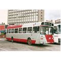 Colour Photo of Northumbria Motor Services Ltd....