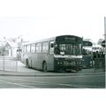 Black & White Photograph of Safeway Services Lt...