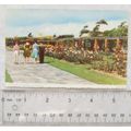 old postcard Fort Rose Gardens, Southsea ref2