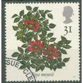 GREAT BRITAIN - 1991 Roses Congress - 31p "Rosa...
