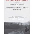 The Gleam Of Bayonets