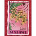 Malawi 1979 8t Tridactyle Bicauda Orchid Used S...